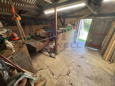 Picture 36